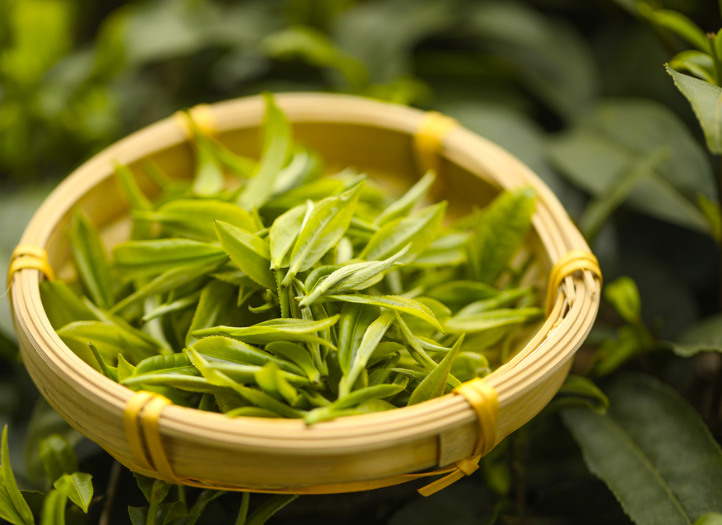 Longhu Mountain Black Tea
